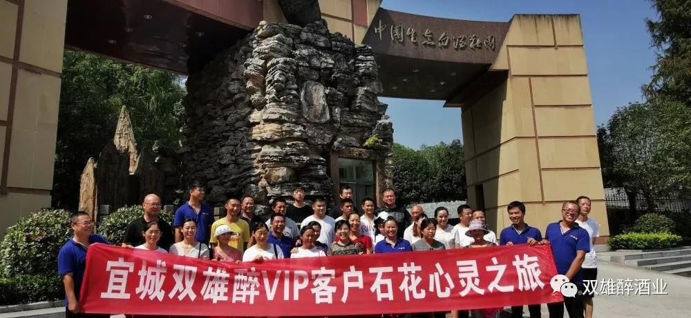 活力四射，宜城客戶的心靈之旅