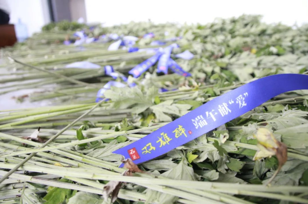 贈你一束“艾”，端午祈安康，雙雄醉端午獻“愛”